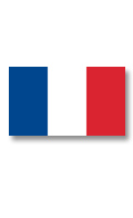 [] French Flag 20 x 30cm image