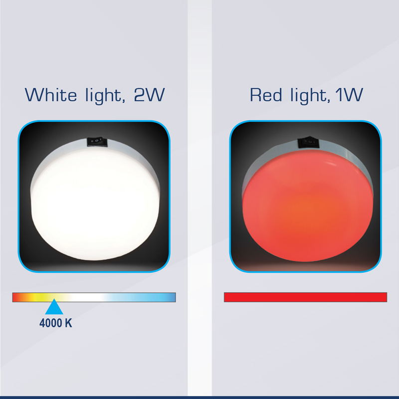 AquaLED Dome Light, red & white, w/3 position switch, 12V/24V DC Multivolt_4717_4718
