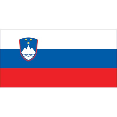 Slovenian Flag_6490_6490