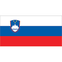 Slovenian Flag_910_910