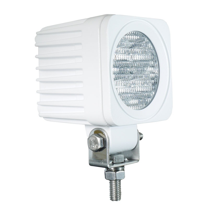 AquaLED Flood Light, 12W, 12/24V